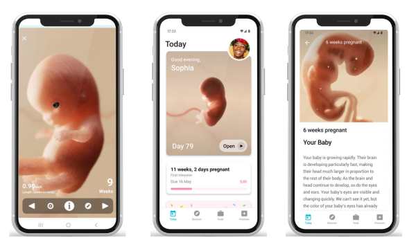 Functions-of-the-Pregnancy-app-(Source-Google)